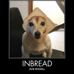 Too Funny Not To Share Too Funny Not To Share